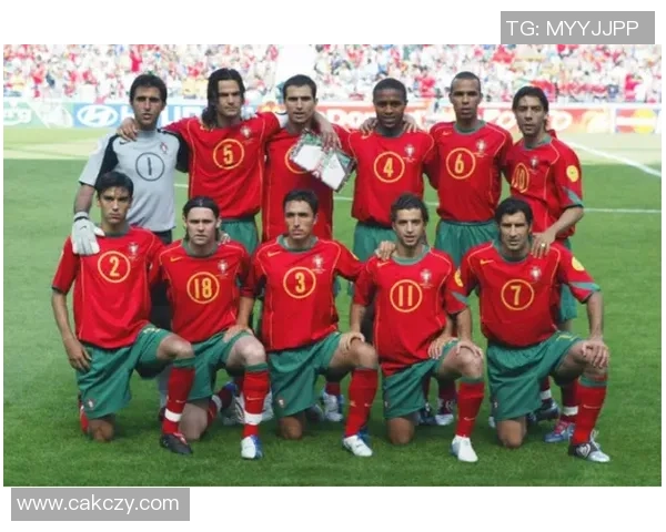 聚焦绿茵传奇血脉传承足球巨星后裔的成长与荣耀之路 聚焦绿茵传奇血脉传承足球巨星后裔的成长与荣耀之路